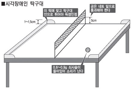 시각장애인 탁구대, 공에는 0.6g ~ 0.9g 쇠사슬이 들어있어 소리가 난다. 공은 네트 밑으로 통과해야 한다. 탁구대 끝의 1~1.5cm 턱에 공이 맞고 탁구대 안으로 튀어야 득점이 인정된다.