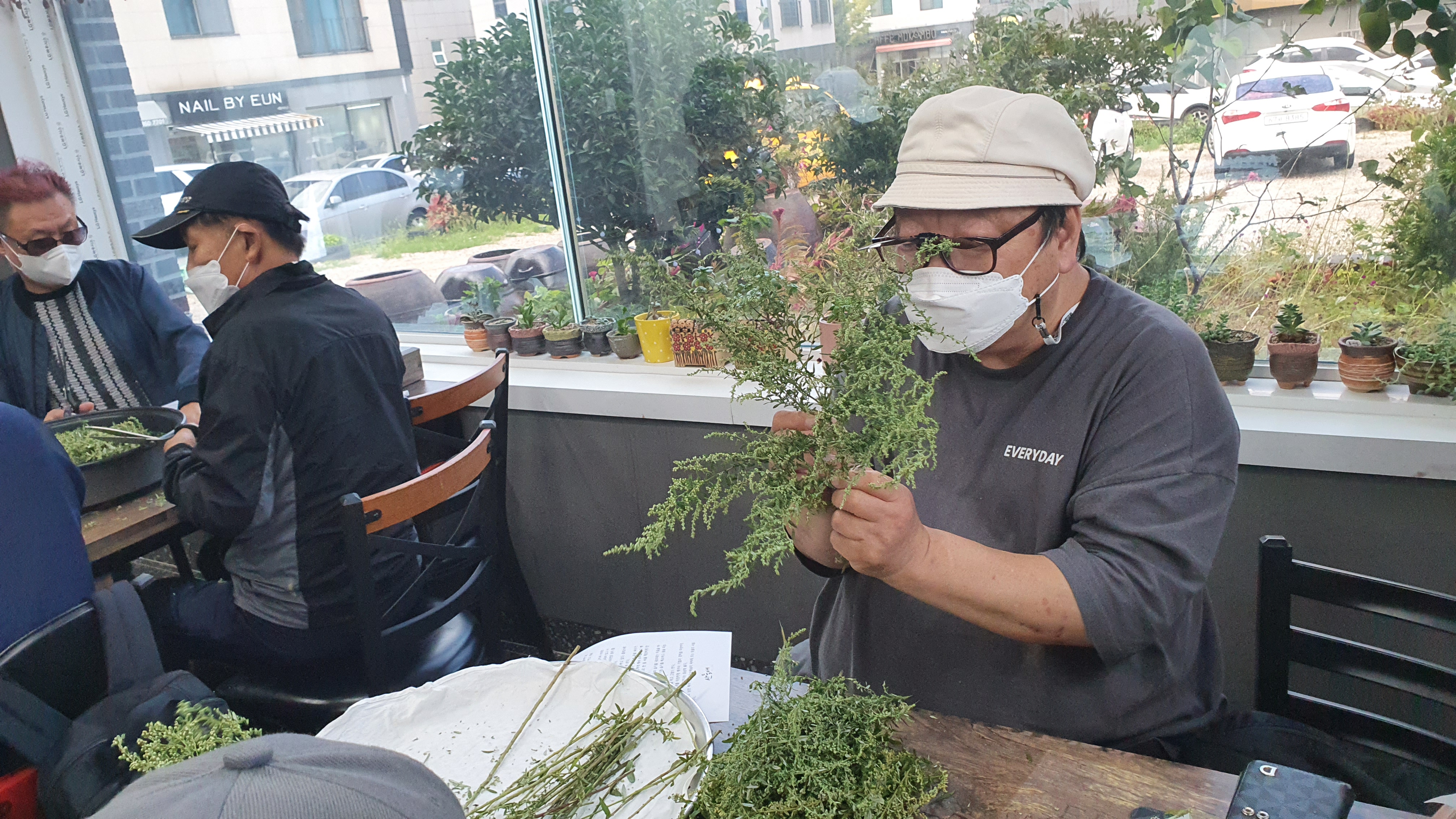산야초 교실 사진모음(산야초 프로그램 진행 사진)1