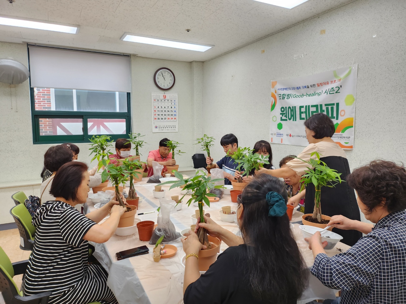 원예테라피 1차 식물심기 사진